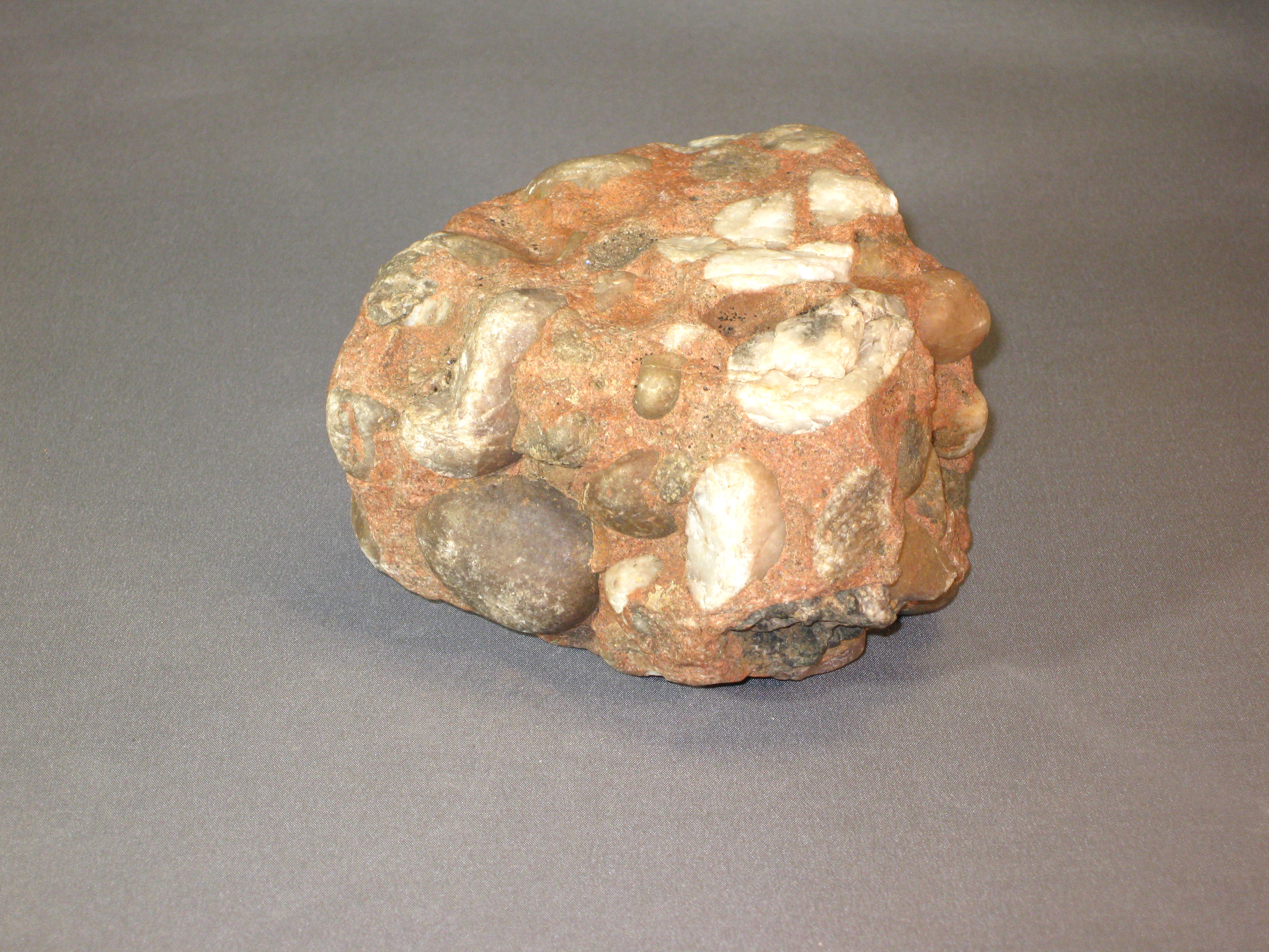 sedimentary rock conglomerate